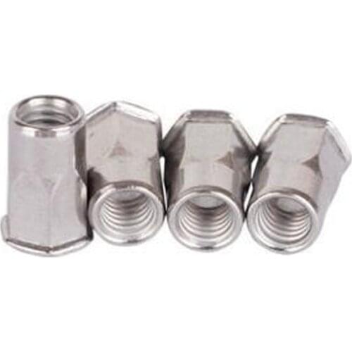 M4 M5 M6 M8 M10 Rivet Nuts Stainless Small Head Hex Rivet Nut Insert Nuts Blind Rivet