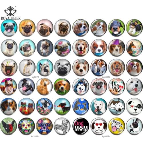 RoyalBeier 48pcs/set 18mm Dog Snaps Button Mixture Glass Snap Button DIY Bracelet Charm Bracelet Jewelry Best Gifts For Women