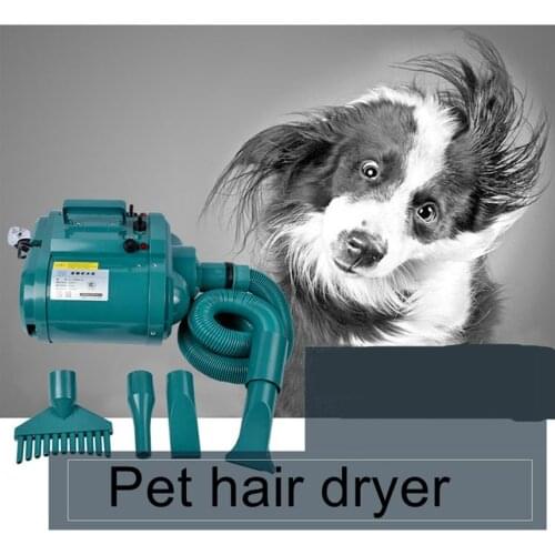 Double motor pet water blowing machine dog high power mute medium and large dog blowing dryer hair blowing device