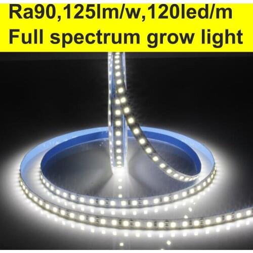 0.5M~80M Full spectrum High CRI+90 2835 12V 24V 2835 LED Light Strips For Home 8mm Width 120LED/m