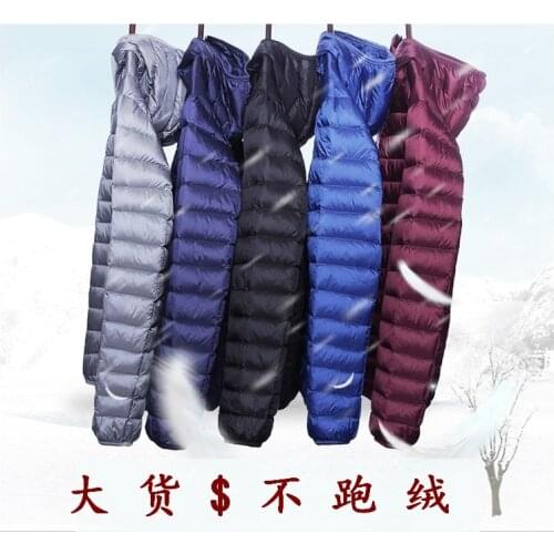 Mens Winter Spring White Down Jacket Lightweight Fashion Stand Collar Warm Duck Down Mens Clothing