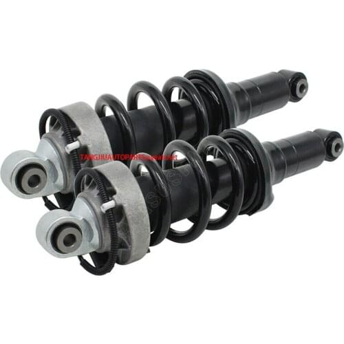 1 Pairs Shock Absorber Fit Audi R8 2008-2015