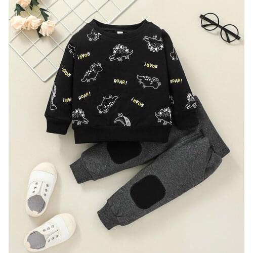 Autumn Kids Clothes Sets Toddler Baby Boys Girls Cartoon Dinosaur Pullover Sweatshirts Tops+Pants Sports Outfits 2Pcs Suit
