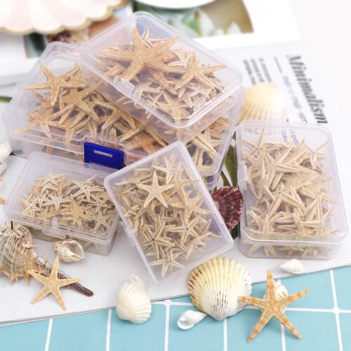 1 Box Natural Starfish Seashell Beach Craft Natural Sea Stars DIY Beach Wedding Decoration Crafts Home Decor Epoxy 1-5cm