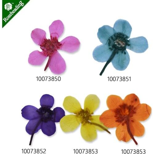 12pcs 15-20mm dried Calla Lily for pressed flowers phone case,paper goods-100738