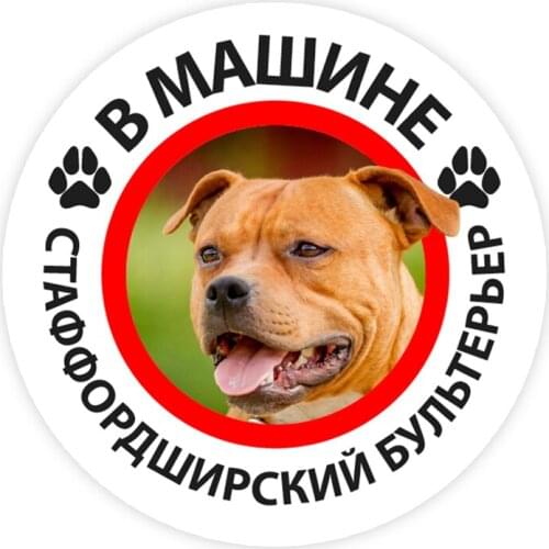 B0229 13CM Self-adhesive Decal Staffordshire Bull Terrier in the Car Car Sticker Waterproof Auto Decors on Bumper Rear Window