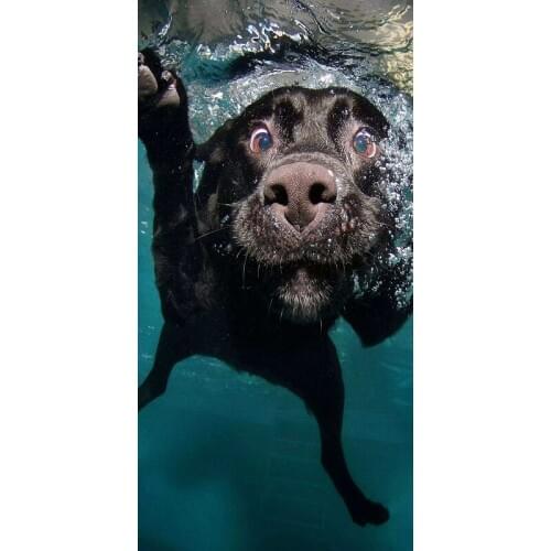 Beach Towels Cute Dog Printed Microfiber Bath Towel Adult Animals Pattern Sport Travel Towels 70x140cm