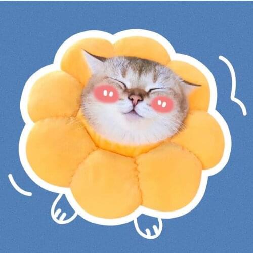 New Cat Soft E-Collar Recovery Personalized Cone Adjustable Cotton Blends Neck Recover Cat Dog Elizabeth Circle Pet Protection