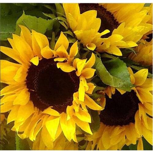 Full Round /Square Diamond Embroidery Sale 5D DIY Diamond Painting "sunflower"Flower Diamond Mosaic Rhinestone Wall Decor FG1301