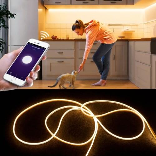 Tuya Smart Life App Control WIFI LED Strip light 12V Neon lamp Kitchen Bedroom Backlight lighting Work With Alexa / Google Home