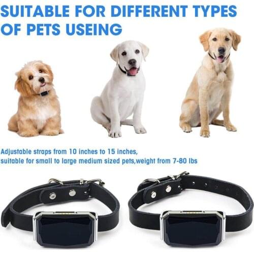 Mini Waterproof Pet Collar GSM GPS Tracker Activity Monitor for Pets Sheep