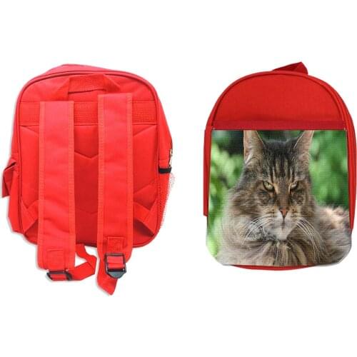 MerchandMania Backpacks For Girls