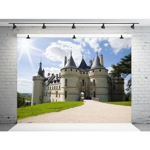 VinylBDS 10x10ft castle backgrounds for photo studio blue sky scenic photo backdrop road washable photo background photography