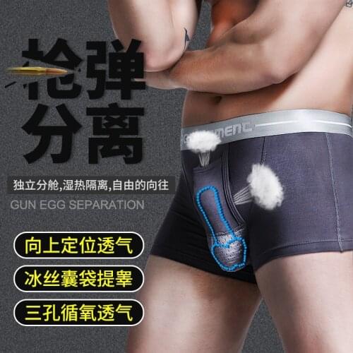 BOBTXS 5PCS/4PCS Mens Underwear Separation Boxer Shorts Mesh Scrotum Care Capsule Function Youth Health Convex Separation Boxer