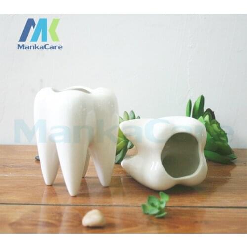 2 Pcs Tooth Shap Pastoral Style White Ceramic plant Pots Teeth model Flowerpot Flower Garden Pots Pencil Vase Dental gift