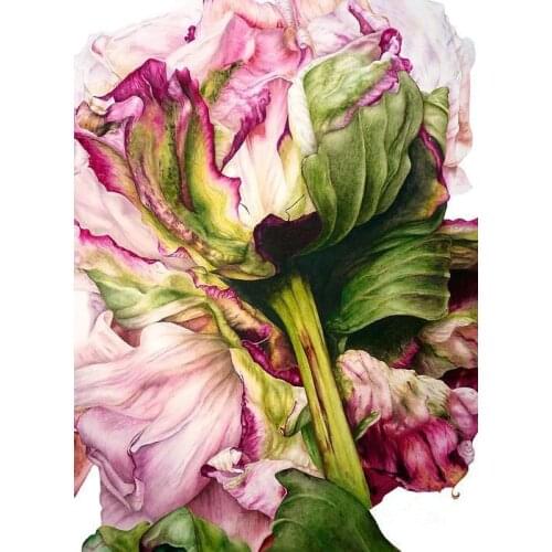 JMINE Div 5D Peony Flower Full Diamond Painting cross stitch kits art High Quality Floral 3D paint by diamonds