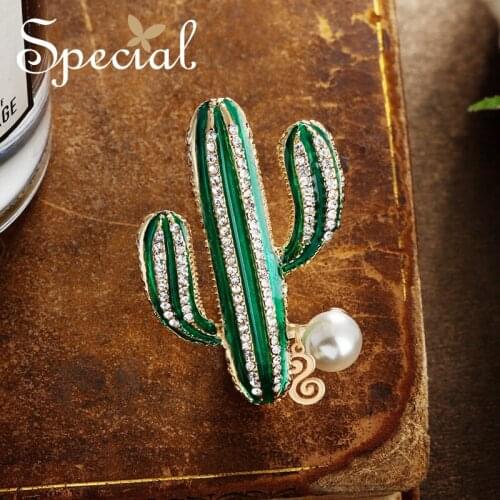 Special European and American brooch cactus pin a multi-silk scarf buckle desert watcher 2021 new