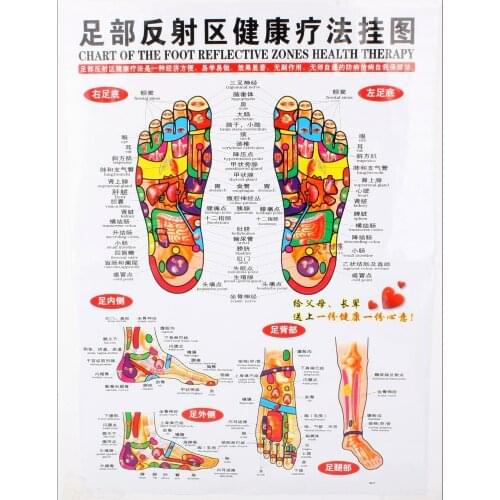 Chart of the foot reflective zone health therapy Massage acupuncture acupoints Medical study Chinese-English 68*48cm Waterproof