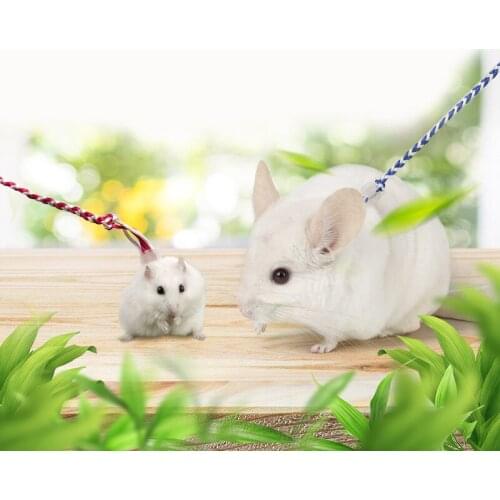 Length 1.4M Adjustable Hamster Leash Cotton Rope Harness Leash Collar Rat Mouse Hamster Go Out Leash Small Pet Supplies