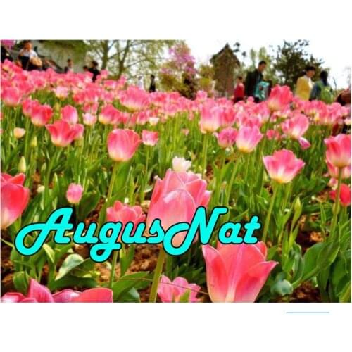 Pink tulips diamond painting full round flower daimand mosaic floral feild diamant painting sequin picture diamont embroidery