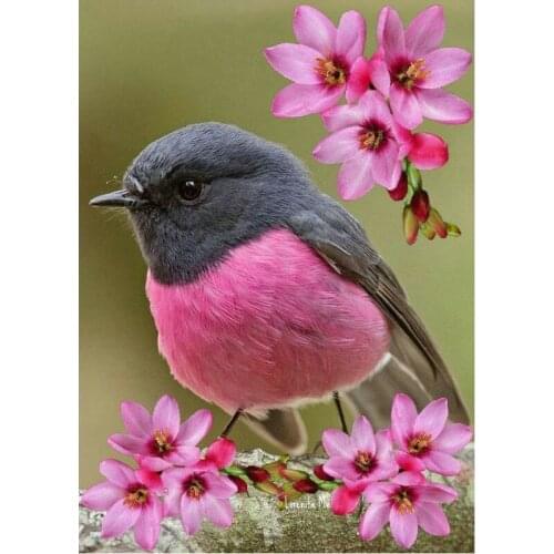 Diamond Painting Bird Picture Mosaic Diamond Embroidery For Bar/restaurant/decoration DIY Full Square round Diamond Cross Stitch