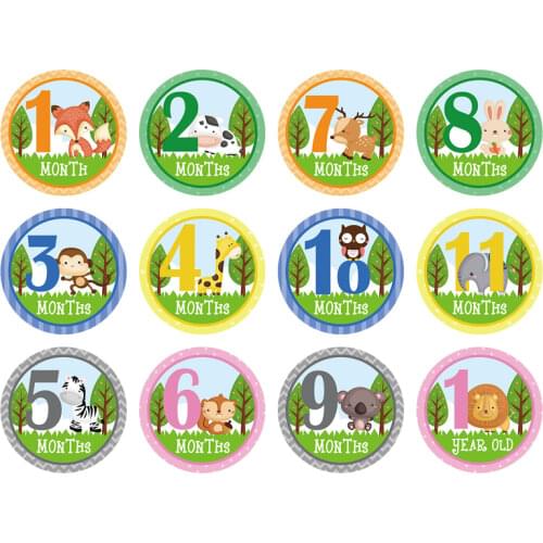 12pcs/Set Month Sticker Baby Photography Commemorative Cards Number Milestone Memorial Sticker Newborn Baby Photo Props Accessor