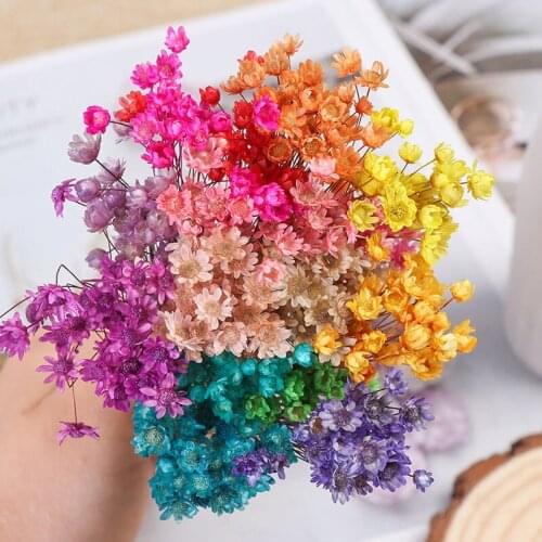 30Pcs Mini Dried Flower Daisy Bouquet Small Star Flower Fresh Preserved Flowers Bouquet Decorative Shooting Photo Backdrop Decor