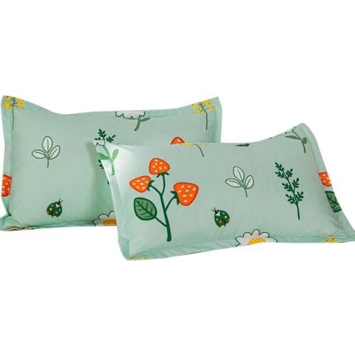One-Pair Package Pillowcase Simple Dustproof Pillowcase Double Pillowcase Outer Case 48cmx74cm