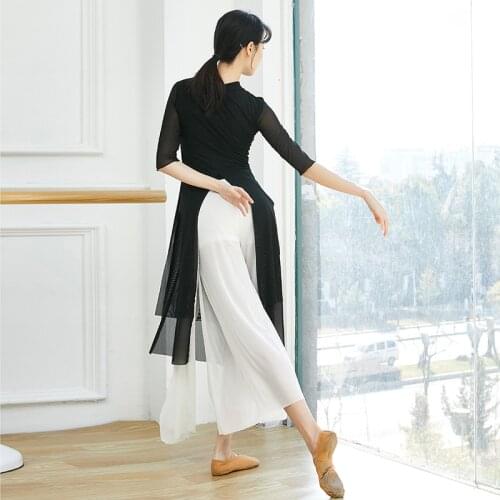 Adult Sexy Belly Dance Transparent Long Blouse Sheer Mesh Top Shirt Fairy Costume for Women Dancing Clothes Dancer Wear Clothing