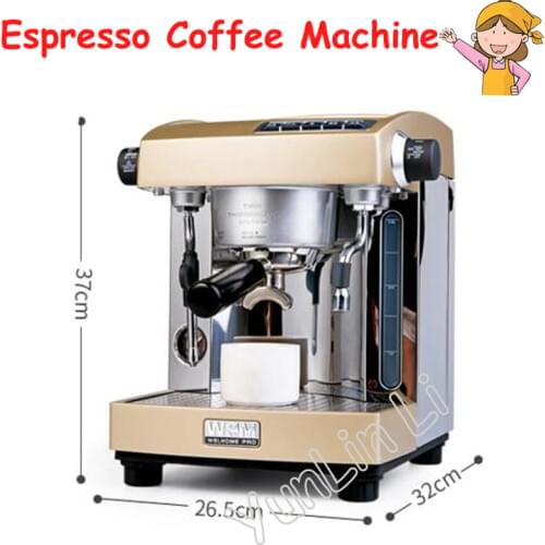Espresso Cafe Machine Professional Double Pump Espresso Coffee Machine Coffee Maker House Use or Small Coffee Shop