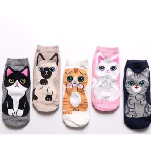 Spring and summer cotton boat socks women socks classic cartoon animal ladies boat socks cute cat and dog socks