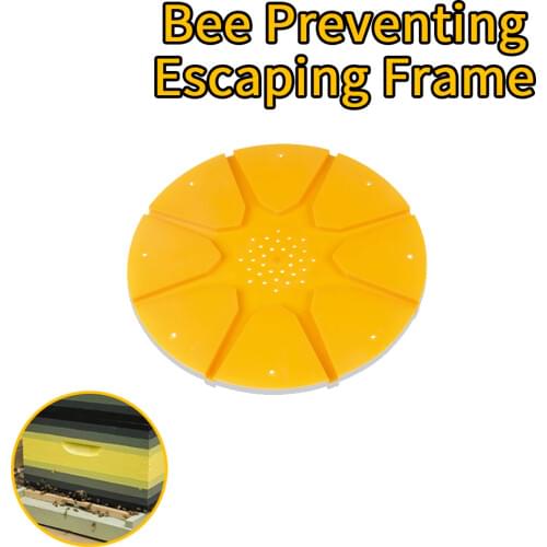 5pcs/lot Plastic 8 Ways Bee Bees Preventing Escaping Beekeeping Equipment and Apicultura Tools for Beekeeper Bee keeping