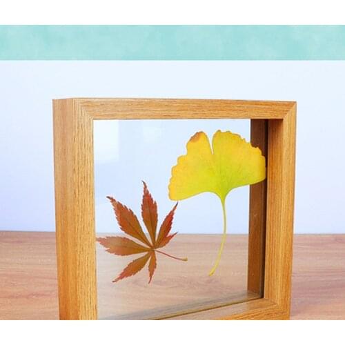 Log creative photo frame double-sided glass plant specimen frame leaf clip photo frame set diy dried flower specimen