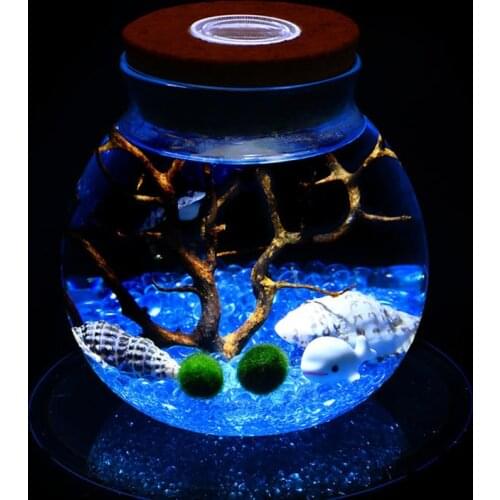 11CM Round Glass Bottle Jar Terrarium With LED Light Cork Micro Landscape Ecological Bottle Tabletop Vase Seaweed Ball Bottle