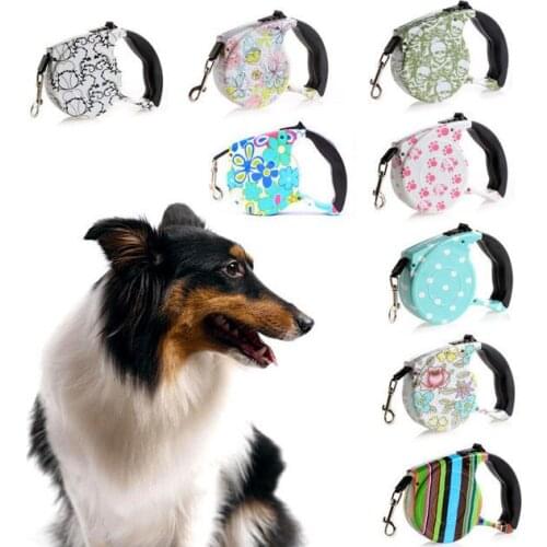 Pup Style-Pattern Dog collar