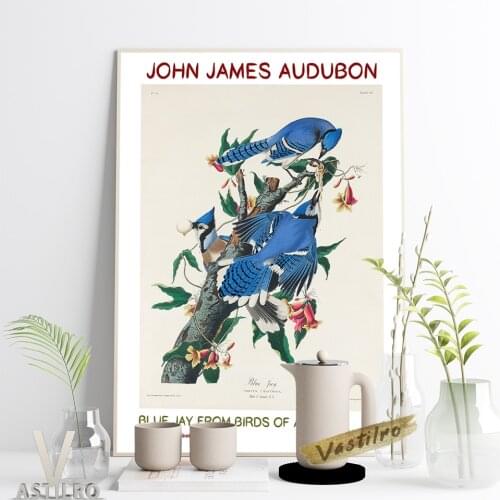 John James Audubon America Birds Map Exhibition Museum Poster Blue Jay Illustration Print Canvas Painting Animal Art Wall Decor