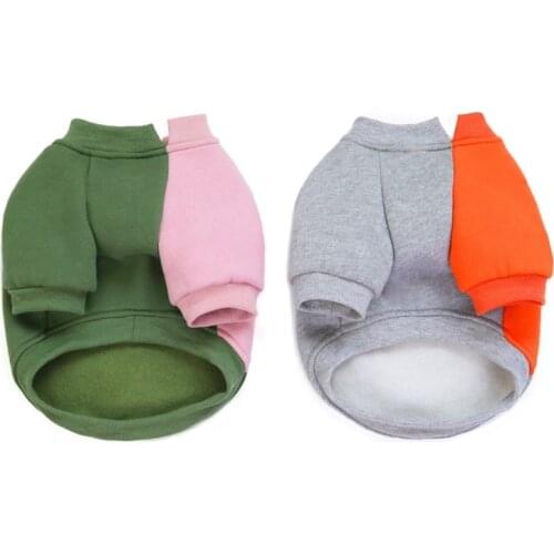 Pet Autumn Winter Bear Fleece Sweater Color Matching Open Mouth Sweater Two Legged Clothes Warm Cotton Padded Clothes