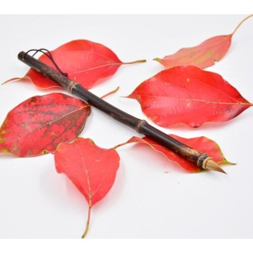 Chinese Weasle Hair Calligraphy Pen 2pcs Mulitple Hair Brush Pen Beginner Chinese Painting Calligraphy Brushes Tinta China
