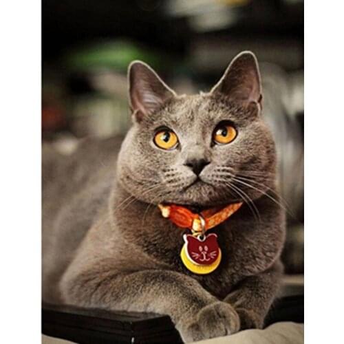 Painting By Numbers DIY Dropshipping40x50 50x65 60x75cm Cute Fat Brown Cat Animal Handmade Gift For Adult Unique Gift Home Decor