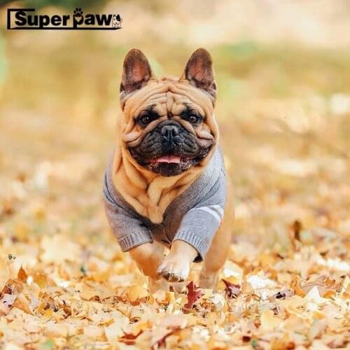 Fashion Dog Clothes Pet Puppy Sweater Hoodie French Bulldog Pug Teddy Jacket Coat for Dogs cat In Winter Keeping Warm WHC06