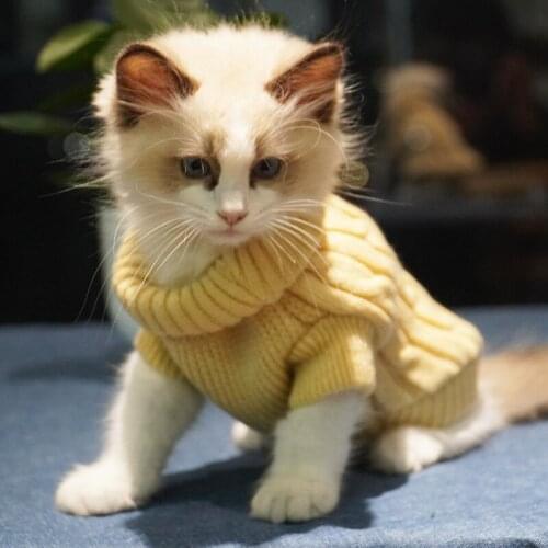 Cat Clothes Cat Cute Sweater Dog Clothes for Baby Dog Baby Milk Cat in Autumn and Winter
