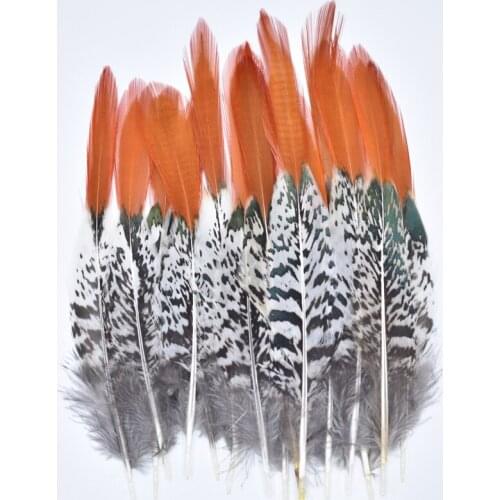 Natural Lady Amherst Pheasant Feathers Decoration Feathers for Crafts 5-30cm/2-12" Feather Top Diy Carnaval Assesoires Plumas