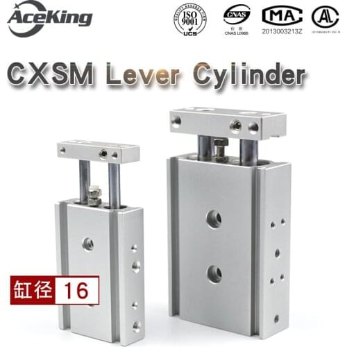 CXSM16 Double pole biaxial cylinder CXSM 16-10/15/20/25/30/35/40/45/50 s small bore with magnetic set-top cylinder CXSM15-75