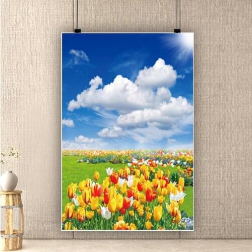Green Grass Flowers Lawn Blue Sky Cloudy Spring Natural Scenic Photography Backdrops Photo Backgrounds For Photo Studio