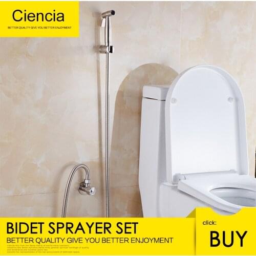 Free Shipping Stainless Steel Hand Held Bidet Sprayer Complete Bidet Set for Toilet Sprayer Shattaf