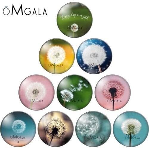 Fashion Beautiful Dandelion Mixed 10pcs 12mm/18mm/20mm/25mm Round photo glass cabochon demo flat back Making findings