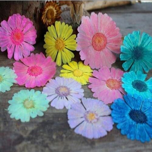 60pcs 3-6cm Pressed Dried Calendula Officinalis Flowers Plant Herbarium For Jewelry Postcard Invitation Card Making Accessories