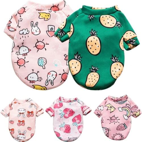 Cute Pet Teddy Winter Cartoon Fruit Print Pattern Sweatshirt Two-legged Cat Dog Dress Up Clothes