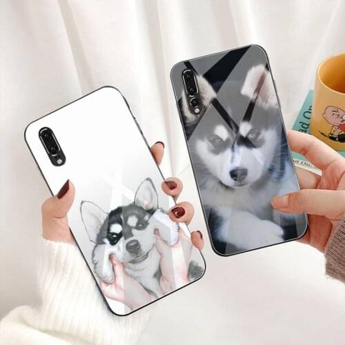 Cute Siberian Husky dog Phone Case Tempered Glass For Huawei P30 P20 P10 lite honor 7A 8X 9 10 mate 20 Pro