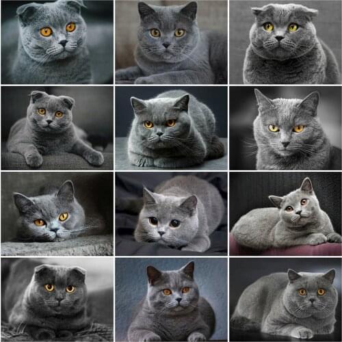 Evershine 5D DIY Diamond Mosaic Animals Full Square Round Diamond Painting Cat Rhinestone Mosaic Full Layout Home Decoration